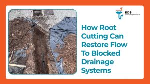 How Root Cutting Can Restore Flow To Blocked Drainage Systems
